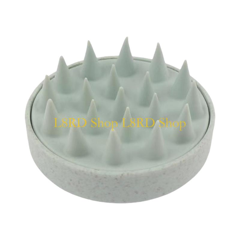 L8RD Kopfhaut-Massagebürste, S – Dry Brush Body Bewertung und Preis