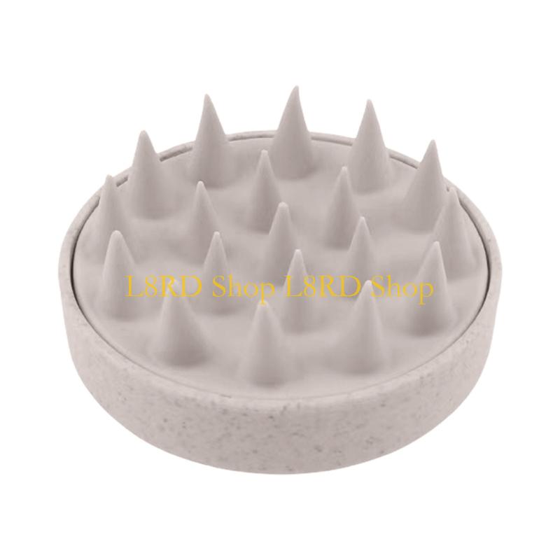 L8RD Kopfhaut-Massagebürste, S – Dry Brush Body Bewertung und Preis