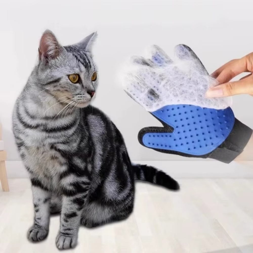 Haustier Katze Hund Pflege Han – Hair Spa Wellness Bewertung und Preis