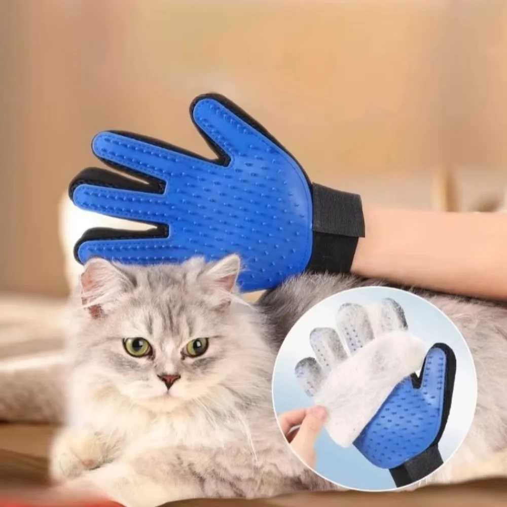 Haustier Katze Hund Pflege Han – Hair Spa Wellness Bewertung und Preis